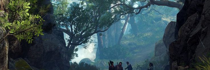 Allison Carmichael banner