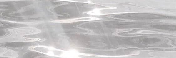 東くるみ banner