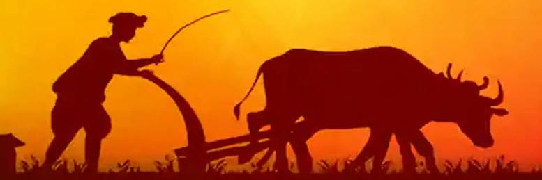 tumjaisahi's profile banner image