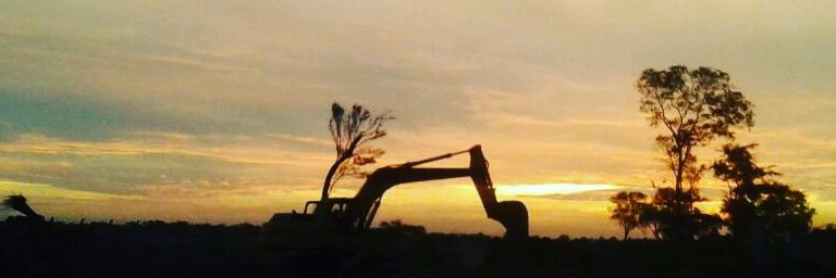Cesarbulsara's profile banner image