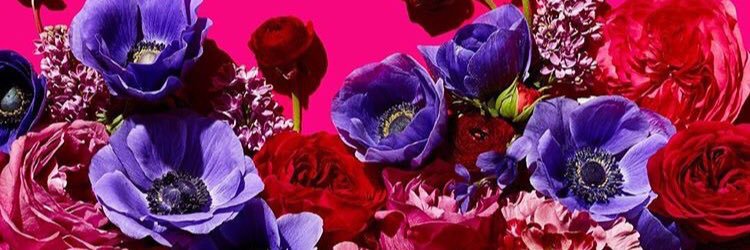 Patsygor's profile banner image