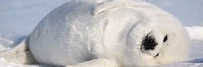 brkepi's profile banner image