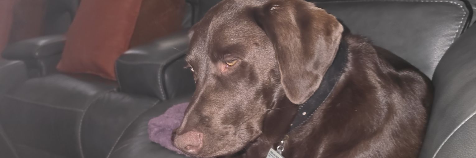 Tax the rich, unless I win the lottery banner