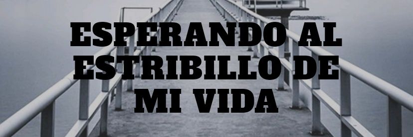 sabrosero's profile banner image