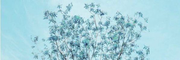 いつか心から笑える日がくるまで。 banner