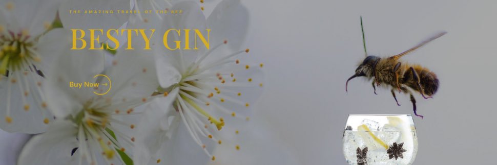 BestyGin's profile banner image