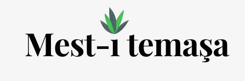 MestTemasa's profile banner image