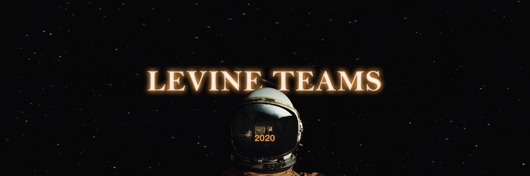 LEVINETEAMS's profile banner image