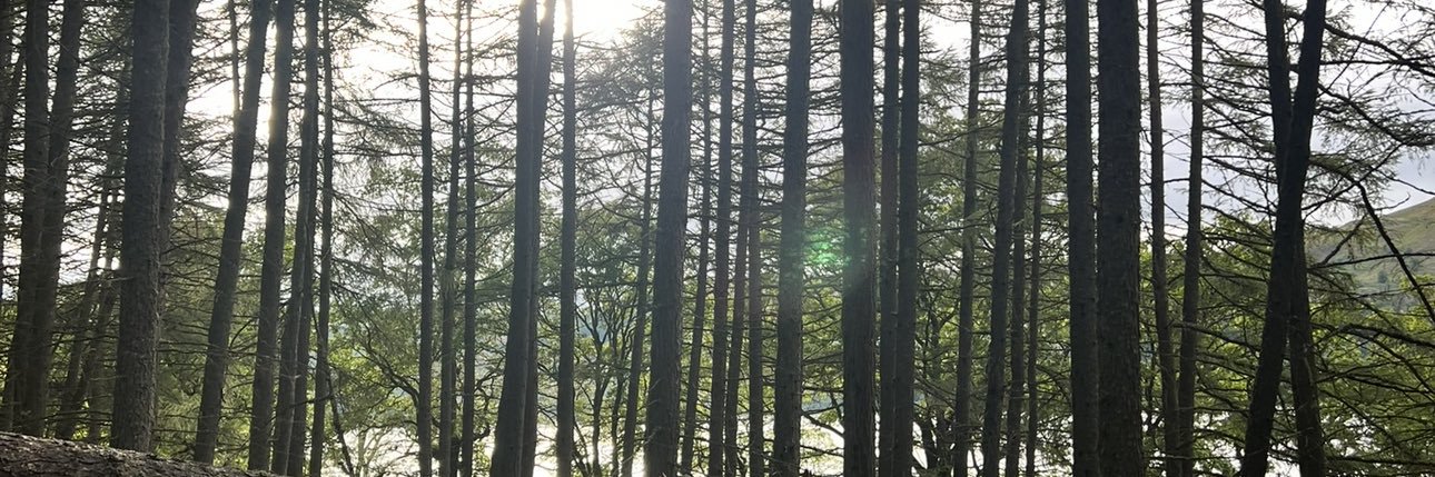 aaronww_'s profile banner image