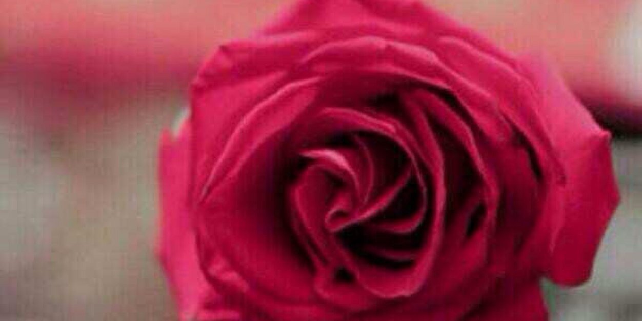 loolaa691's profile banner image