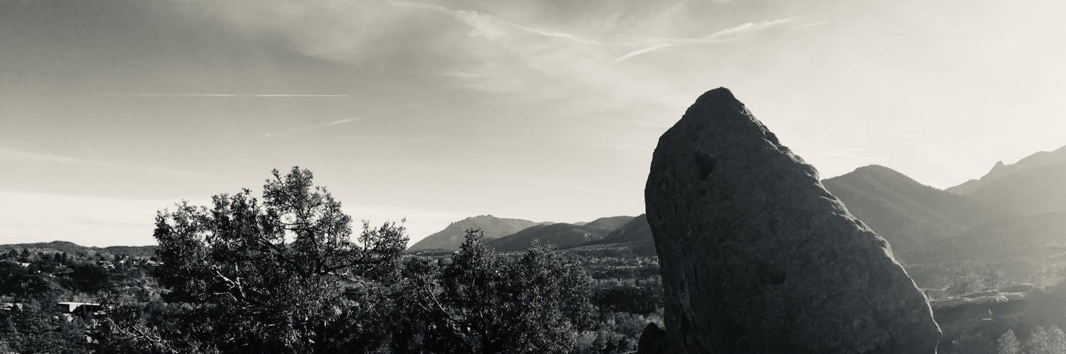 amycurtishall's profile banner image