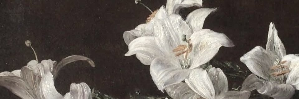 danielle_gibs's profile banner image