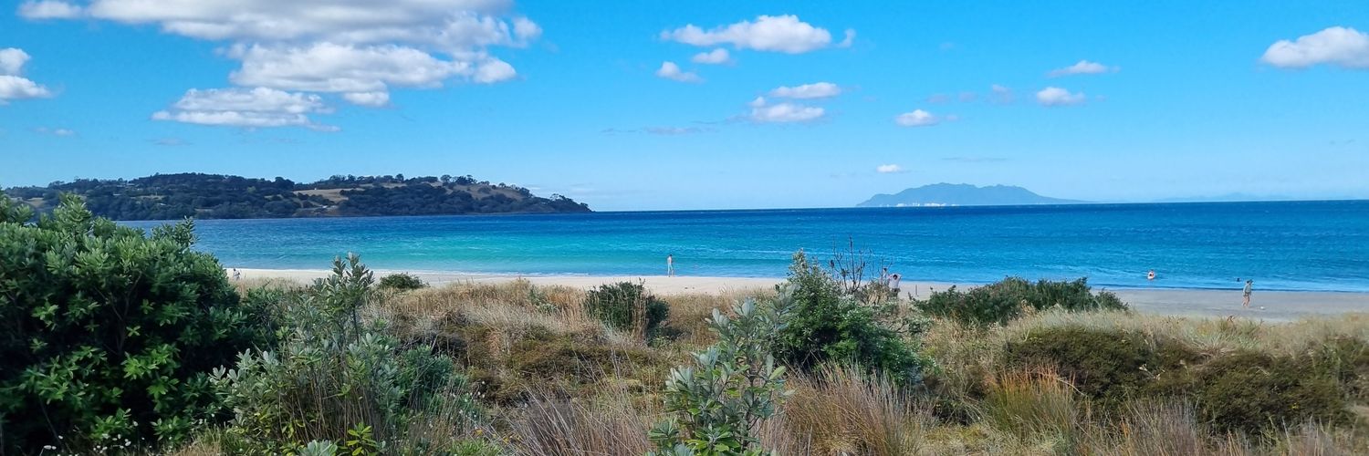 NZ_Naturopath's profile banner image
