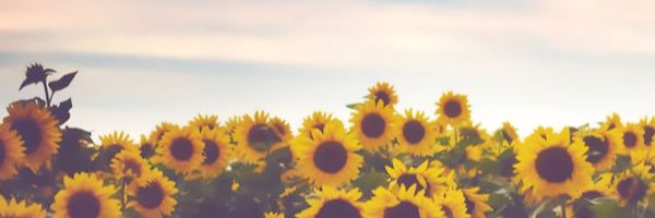 KAYxLOVE's profile banner image