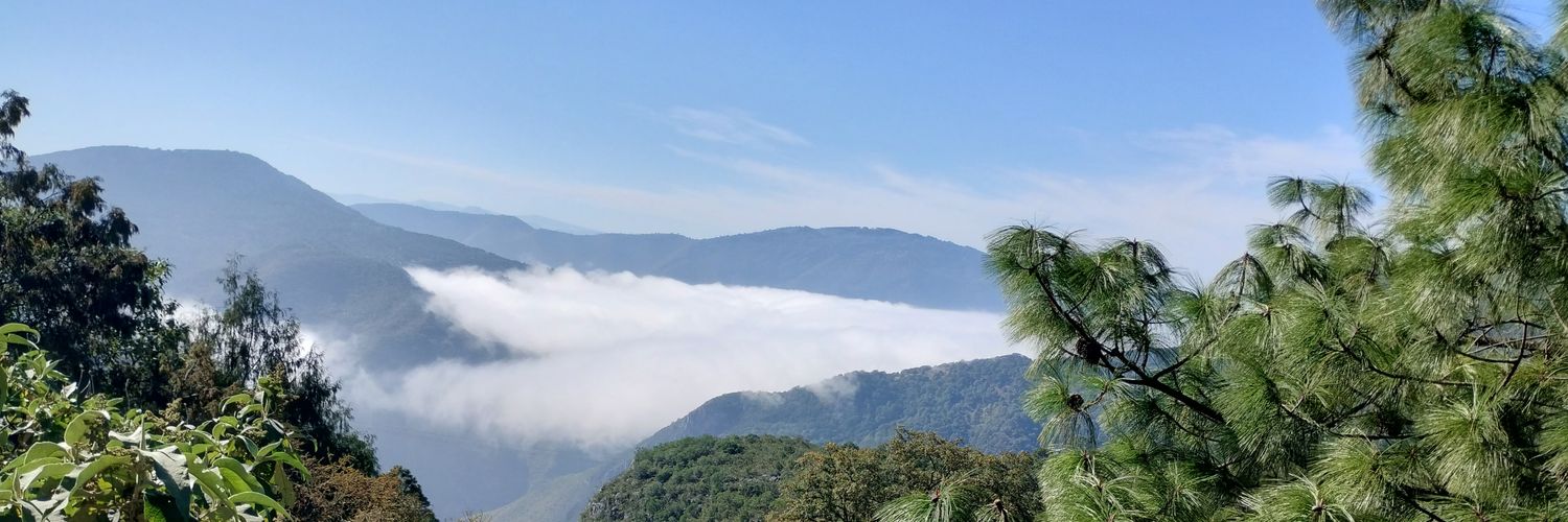 oscaritozg's profile banner image