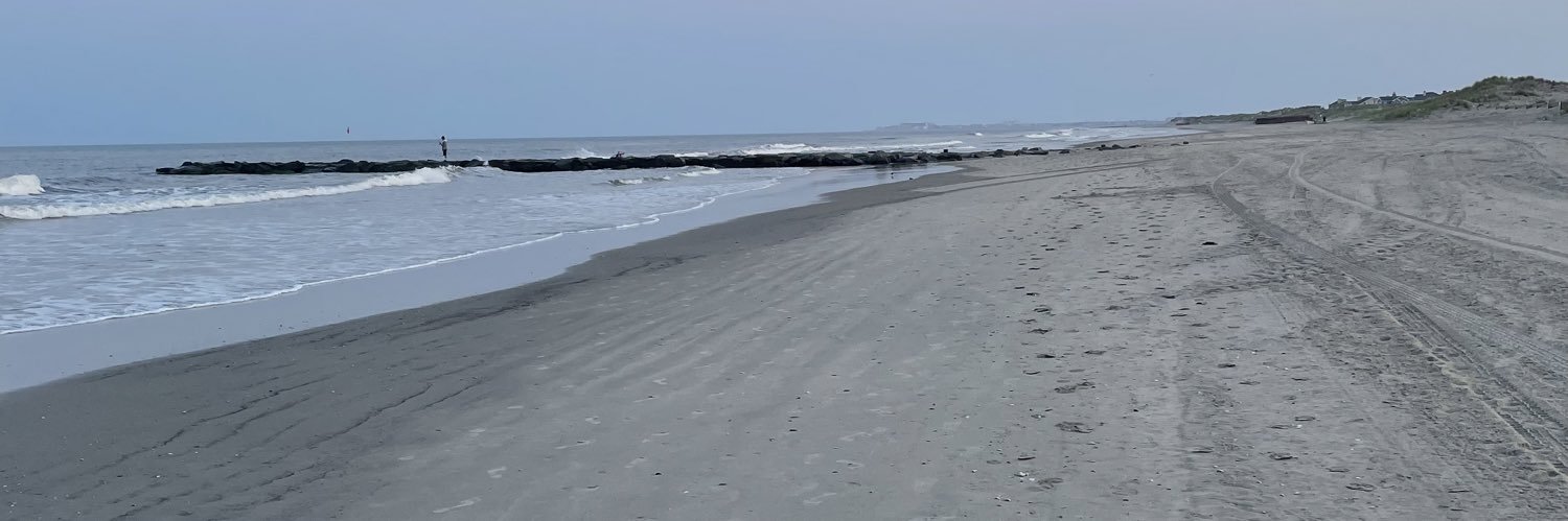 wcwcfox's profile banner image
