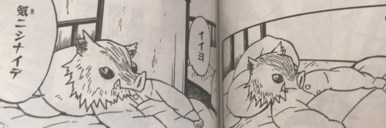 Saaaaaju's profile banner image