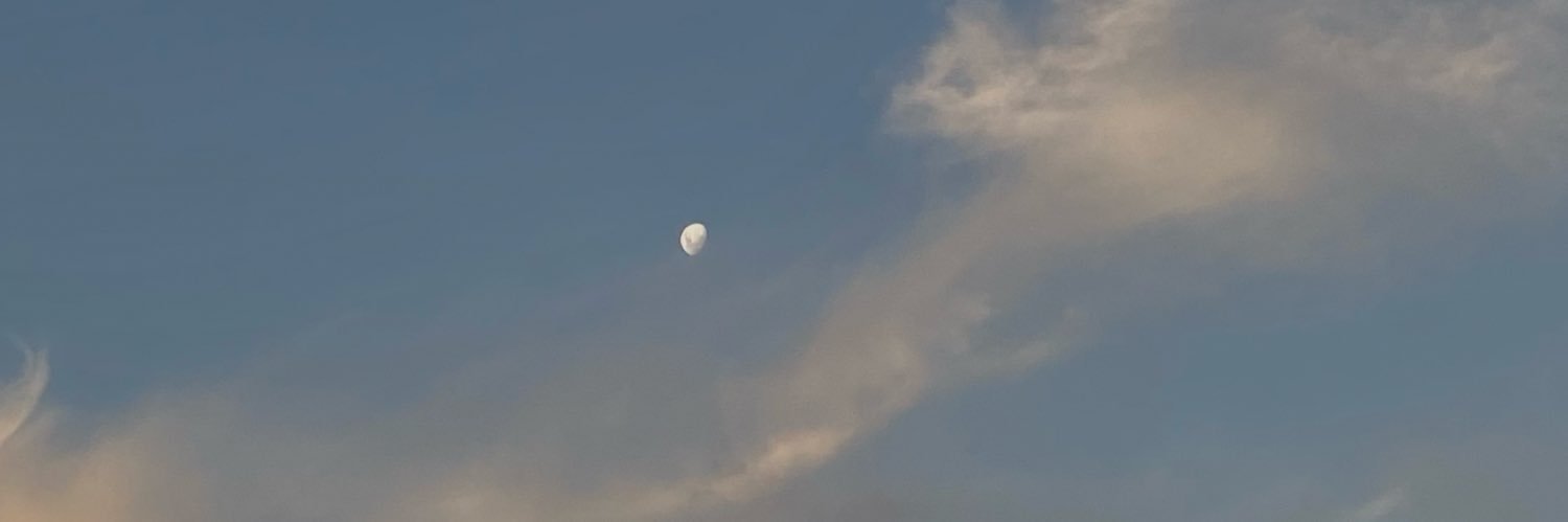 lunitusx's profile banner image