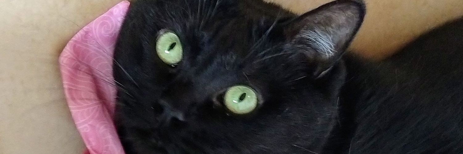 ValonEnkelin's profile banner image