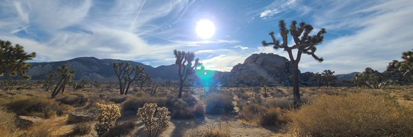 cyn_hrx Profile Banner