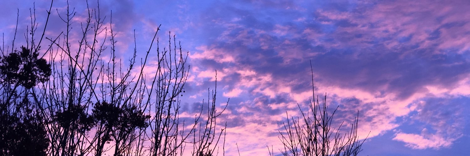 RTweet banner