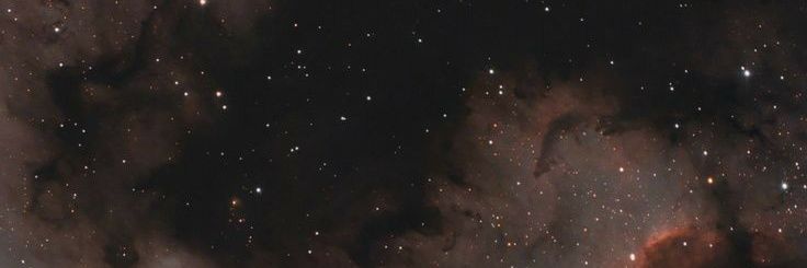 Nomlee banner