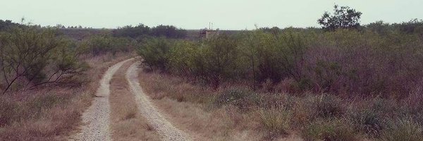 beksbot Profile Banner