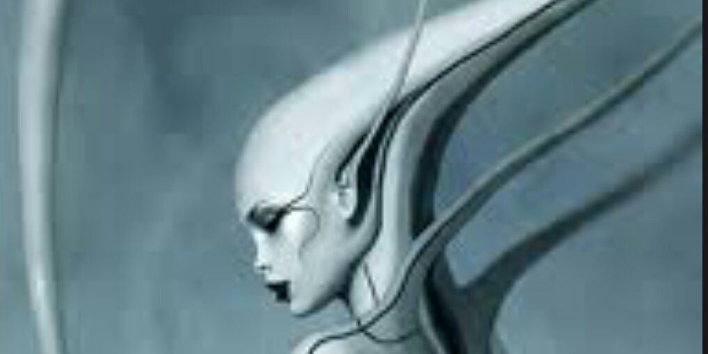 ShegaOzay's profile banner image