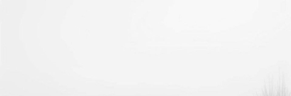 mealshamsi3's profile banner image