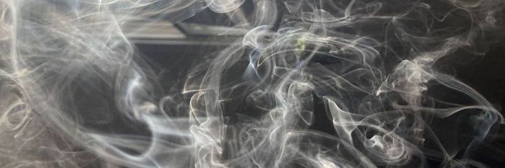 ʀoci banner