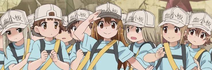 Alexhdzrose's profile banner image
