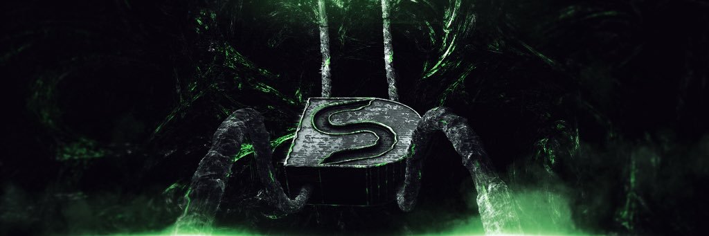 DS banner
