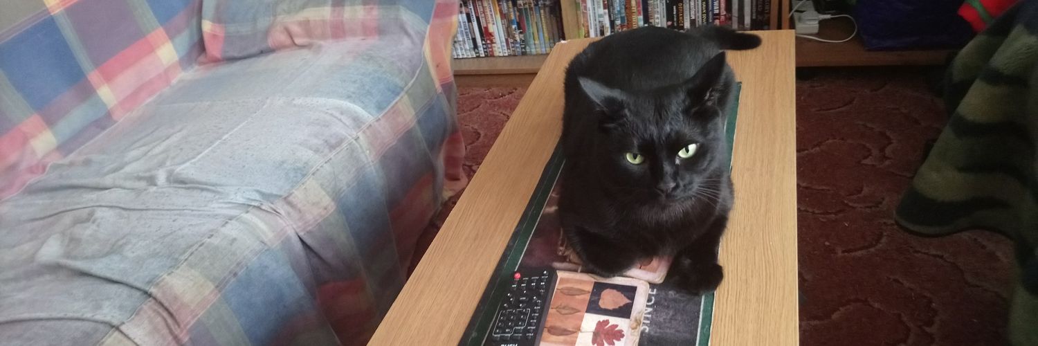 kelli  packham banner