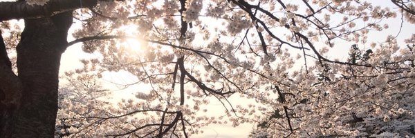 Zdgka Profile Banner