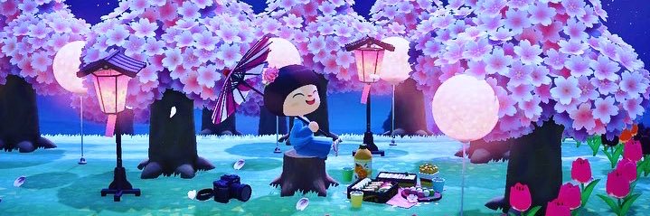 tsunoakko's profile banner image