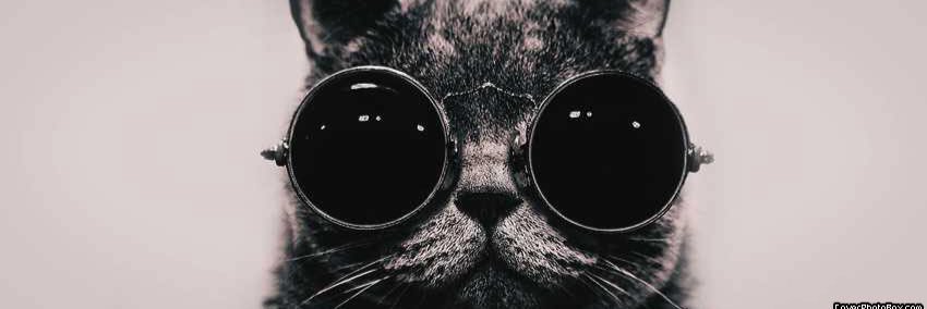 sofiaiswhatsup's profile banner image