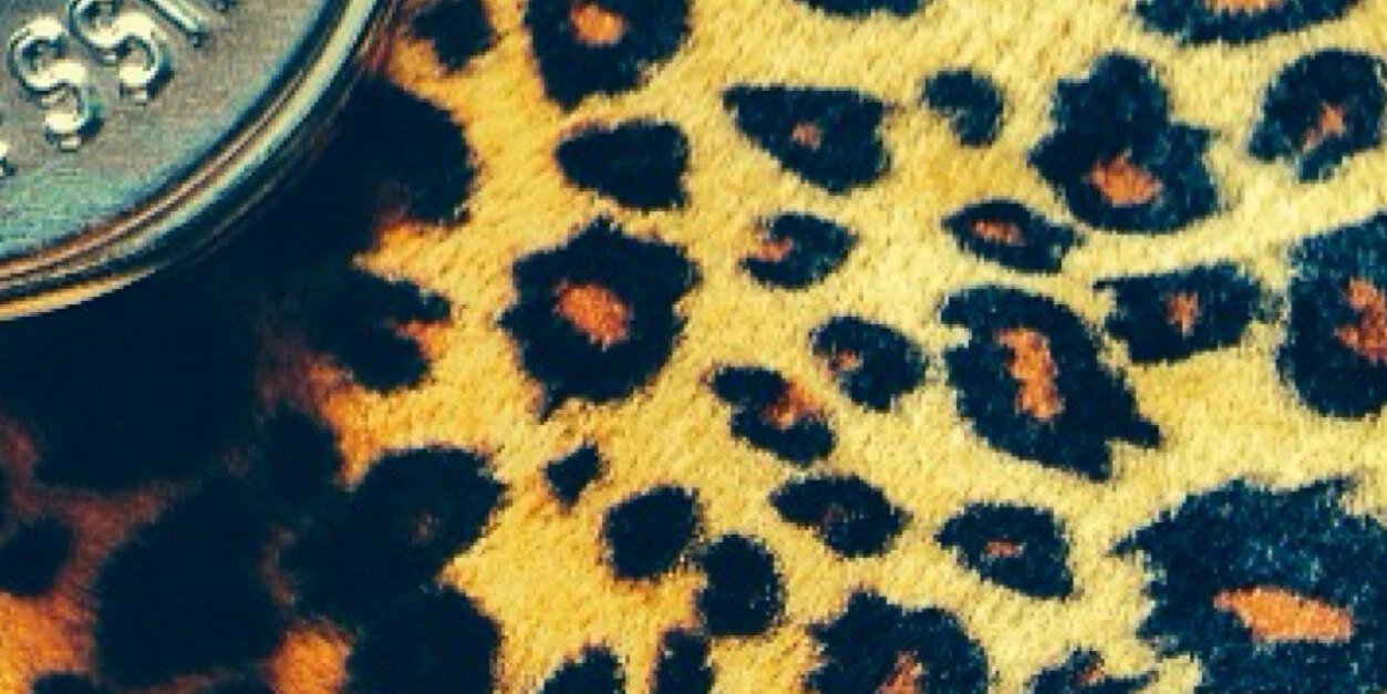 ROCKAHOLIC6969's profile banner image