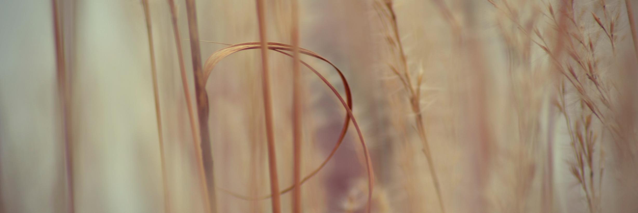 fmschnei's profile banner image