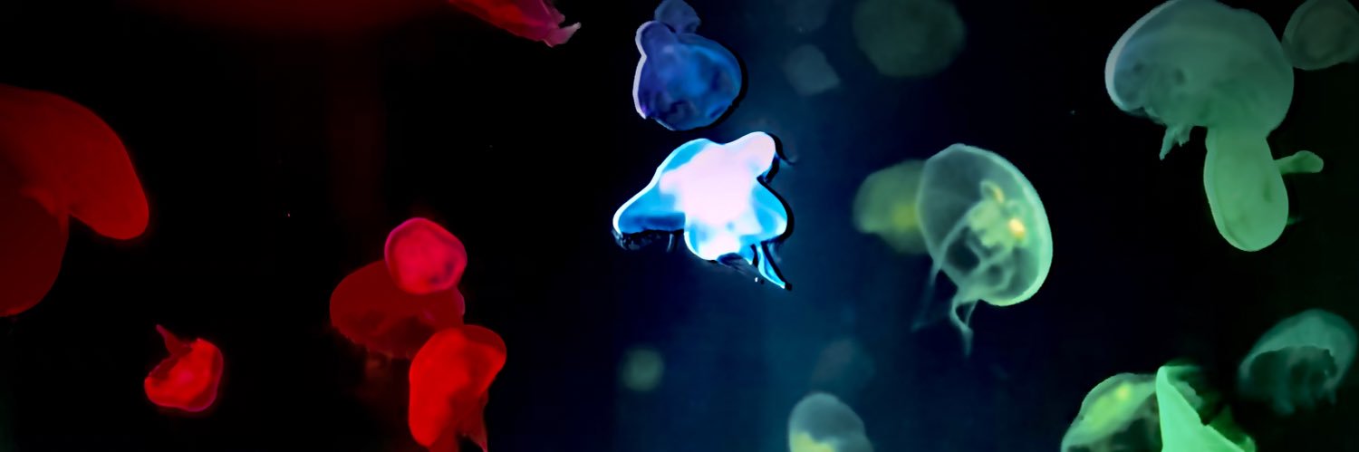 朴光哲 banner