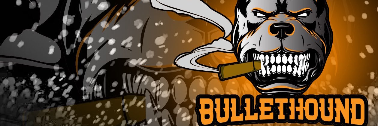 TheBulletHound's profile banner image
