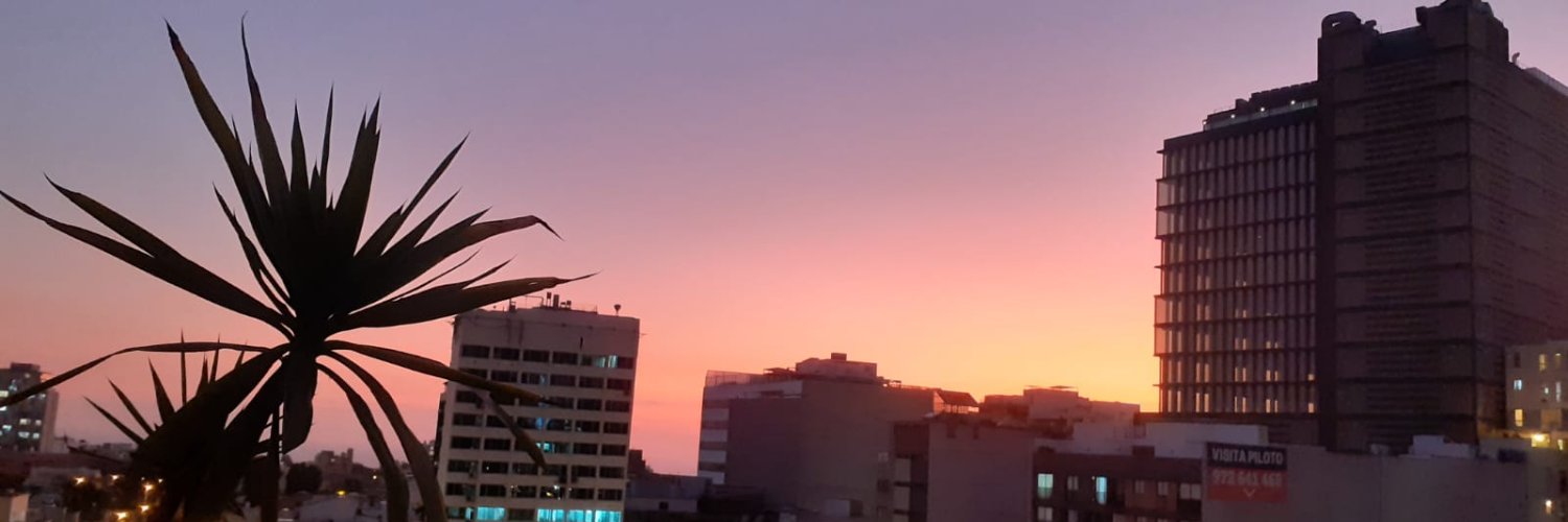 melonconsalsa banner