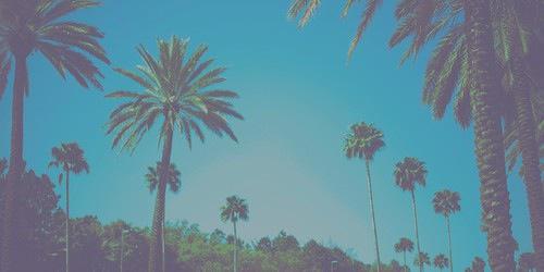 Obeyaustin's profile banner image
