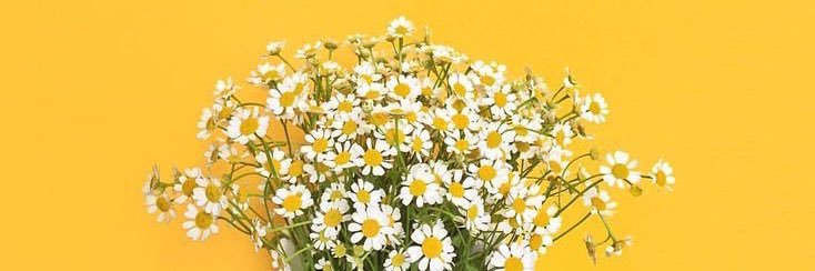 nasrahmuis's profile banner image