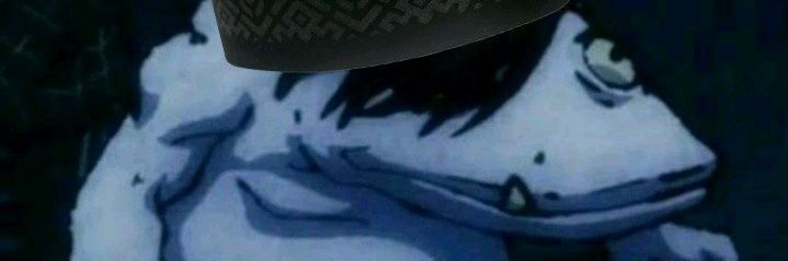 Evaa banner