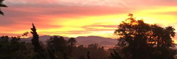 mrsccarta Profile Banner