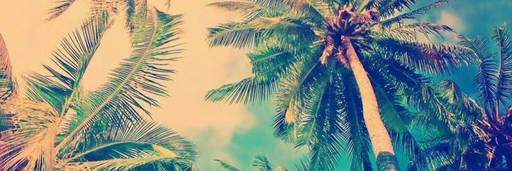 _sandrocastro's profile banner image
