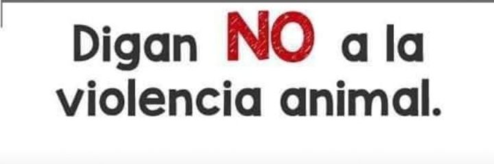 lachascona's profile banner image