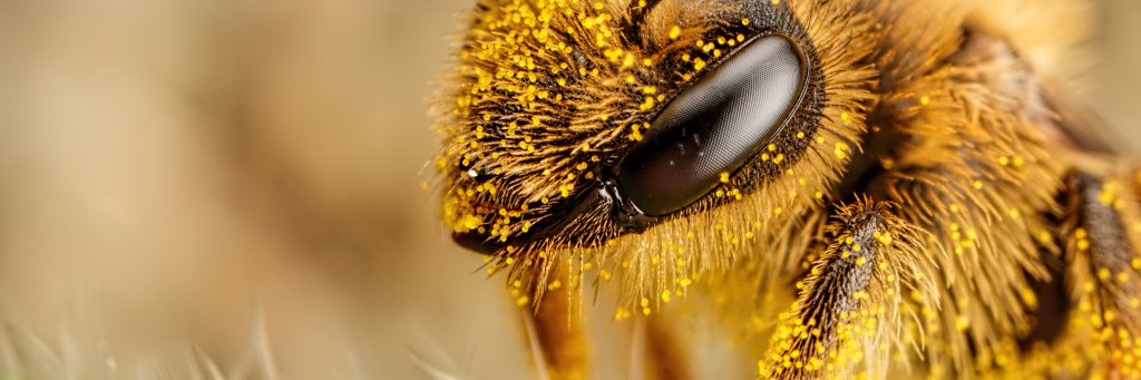 Doug1233's profile banner image