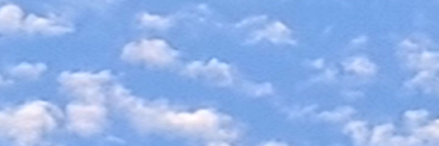yarayari's profile banner image