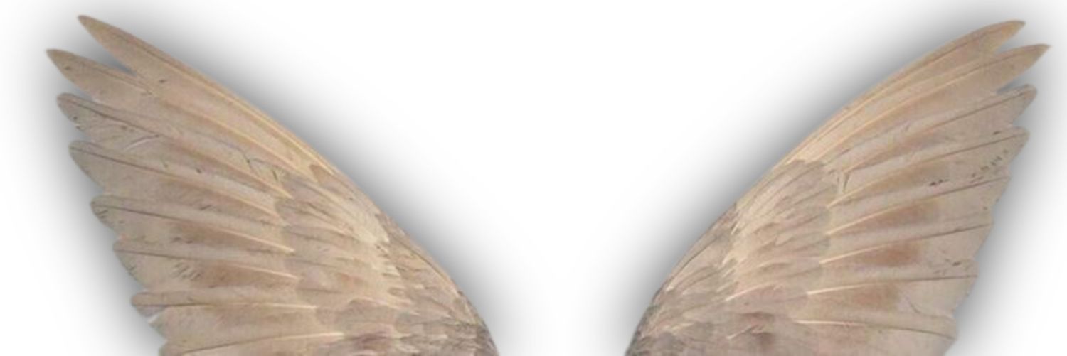 maria, irra! banner